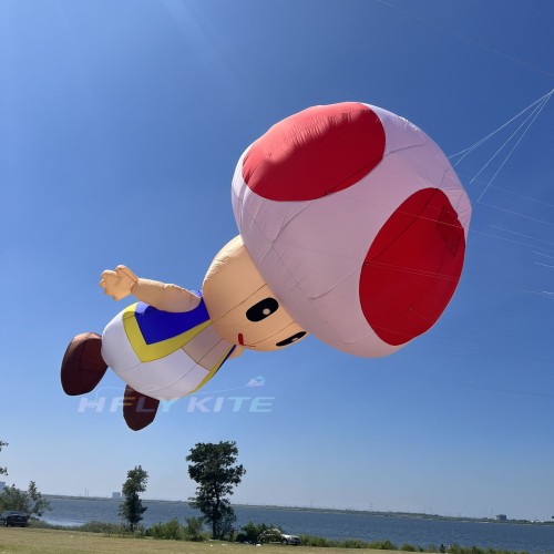 5m Toad kite pendant 40d ripstop nylon Adults High Quality Colorful Show Kite