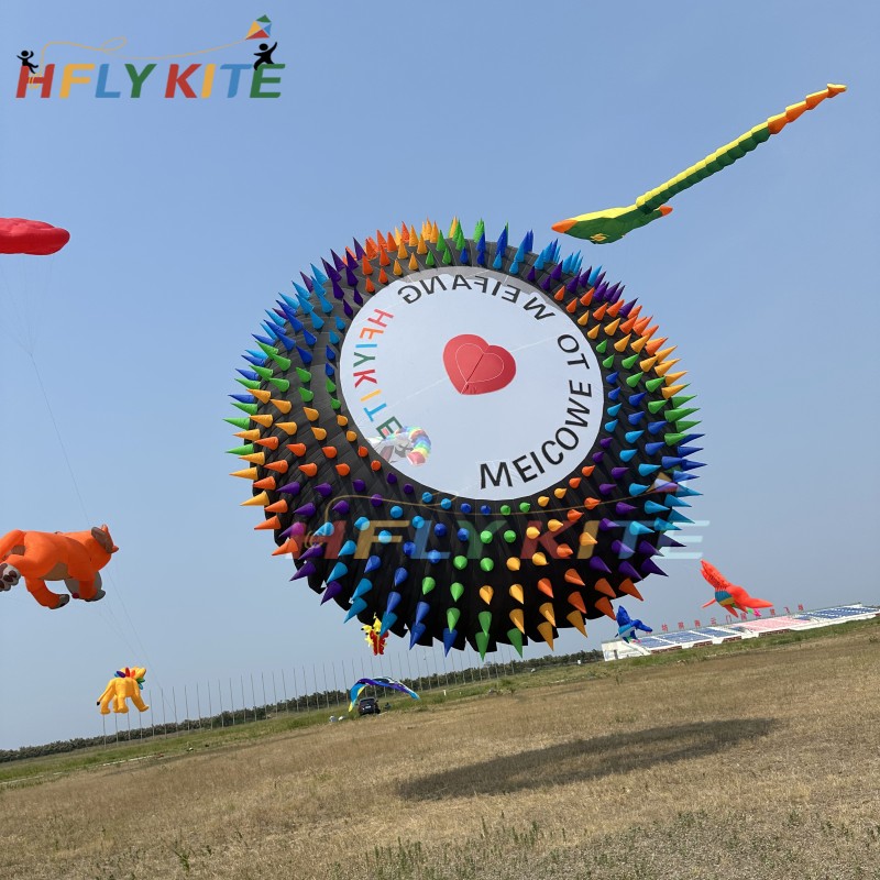 8m Bol Kite 40d Ripstop Nylon For Adults High Quality Colorful Show Kites 