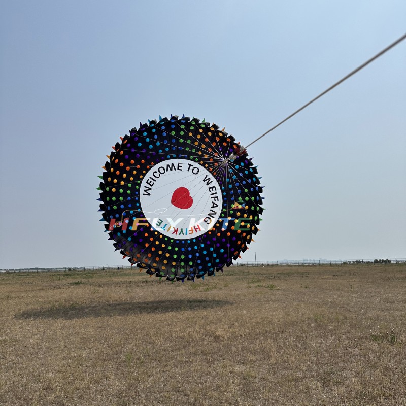 8m Bol Kite 40d Ripstop Nylon For Adults High Quality Colorful Show Kites 