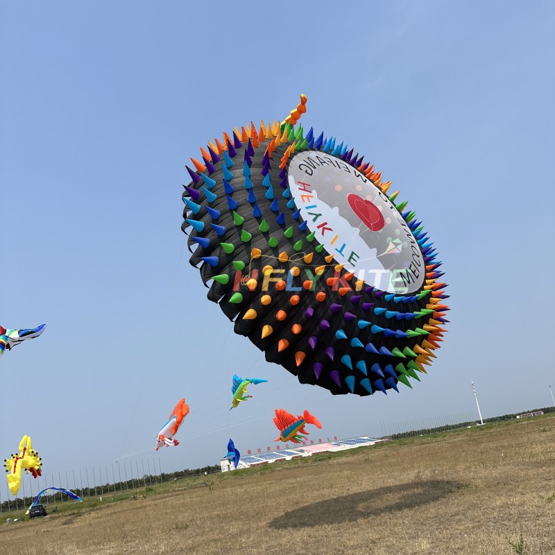 8m Bol Kite 40d Ripstop Nylon For Adults High Quality Colorful Show Kites 