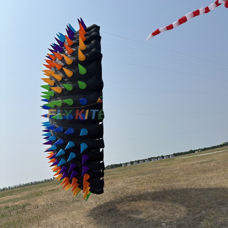 8m Bol Kite 40d Ripstop Nylon For Adults High Quality Colorful Show Kites 