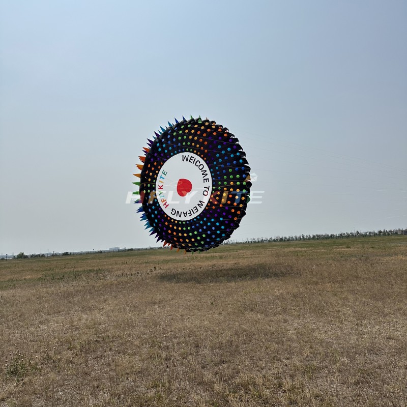 8m Bol Kite 40d Ripstop Nylon For Adults High Quality Colorful Show Kites 