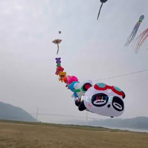 A set of ten 3.5M kites pendant 40d Ripstop Nylon For Adults High Quality Colorful Animal Show Kites