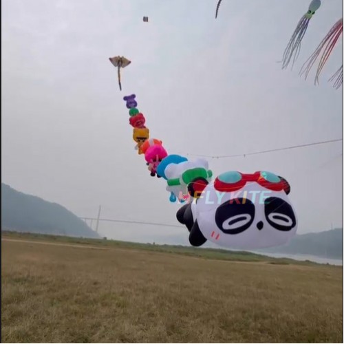 A set of ten 3.5M kites pendant 40d Ripstop Nylon For Adults High Quality Colorful Animal Show Kites