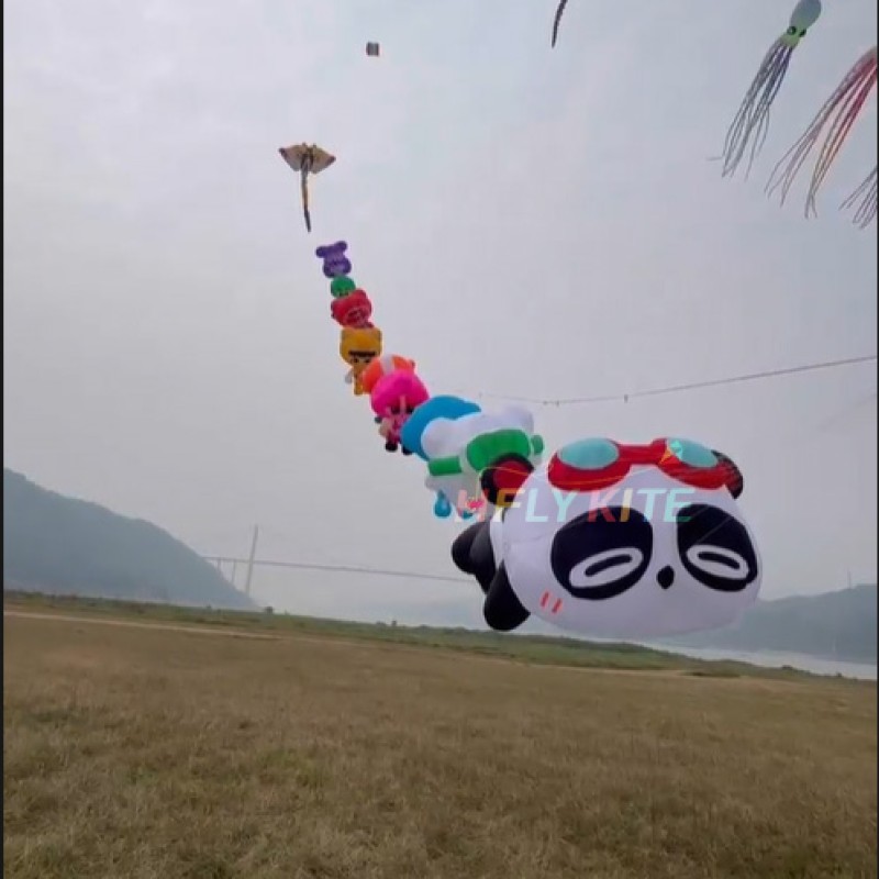 A set of ten 3.5M kites pendant 40d Ripstop Nylon For Adults High Quality Colorful Animal Show Kites 