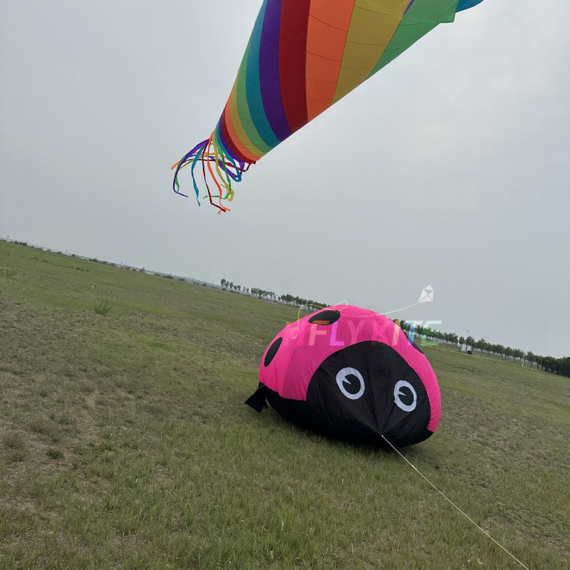 1.8m/3m ladybug kite 40d ripstop nylon 