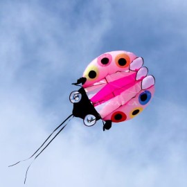 5.5/11/25 Sqm Ladybird kite 40d Ripstop Nylon For Adults High Quality Colorful Show Kites 