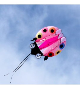 5.5/11/25 Sqm Ladybird kite 40d Ripstop Nylon For Adults High Quality Colorful Show Kites