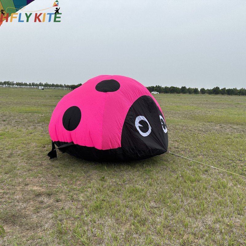 1.8m/3m ladybug kite 40d ripstop nylon