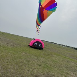 1.8m/3m ladybug kite 40d ripstop nylon 