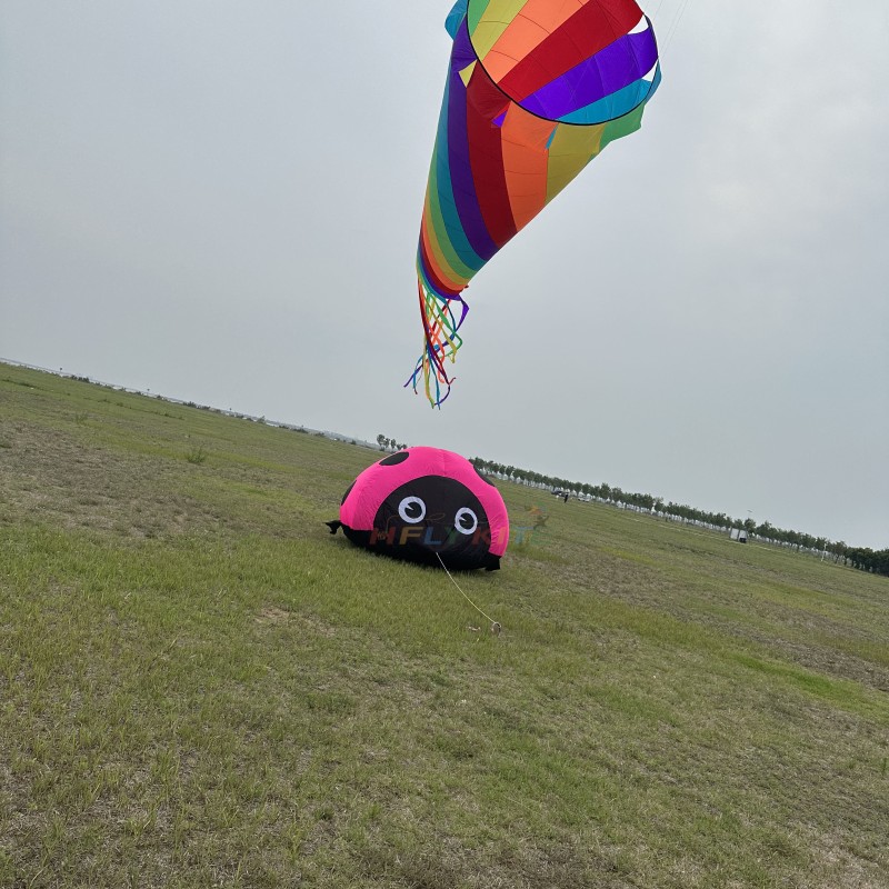 1.8m/3m ladybug kite 40d ripstop nylon 