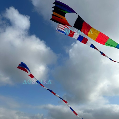 New Arrival Triangle tail Kite Pendant 40d Ripstop Nylon For Adults High Quality Show Kites