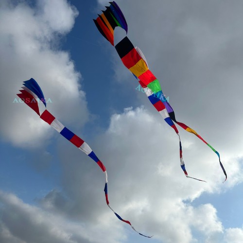 New Arrival Triangle tail Kite Pendant 40d Ripstop Nylon For Adults High Quality Show Kites