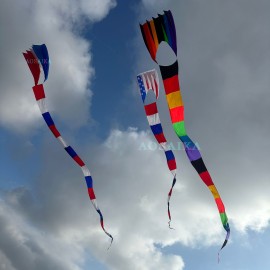 New Arrival Triangle tail Kite Pendant 40d Ripstop Nylon For Adults High Quality Show Kites 