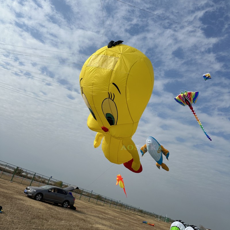 3.5m Tweety kite Pendant 40d Ripstop Nylon For Adults High Quality Colorful Show Kite 