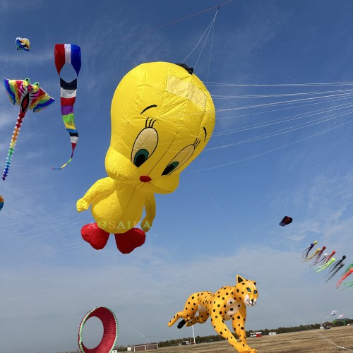 6M stupid big cat kite pendant 40d ripstop nylon