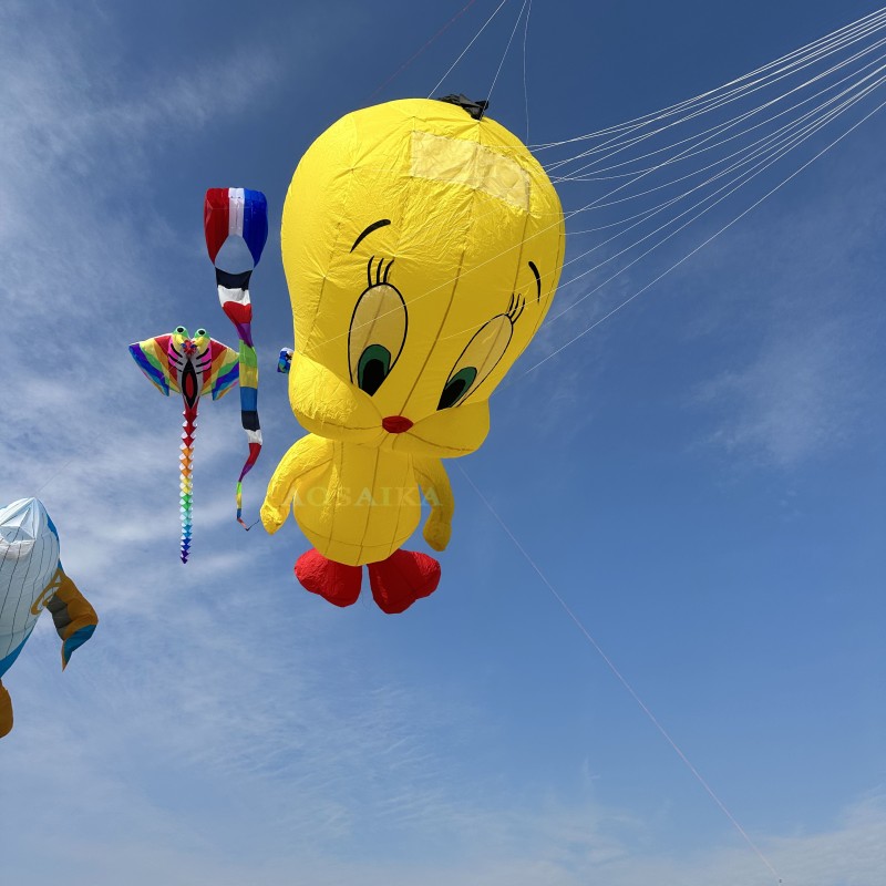 3.5m Tweety kite Pendant 40d Ripstop Nylon For Adults High Quality Colorful Show Kite 