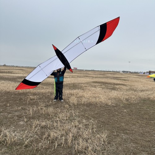 6M Knife Bird Kite PC31 Nylon For Adults High Quality Colorful Show Kites