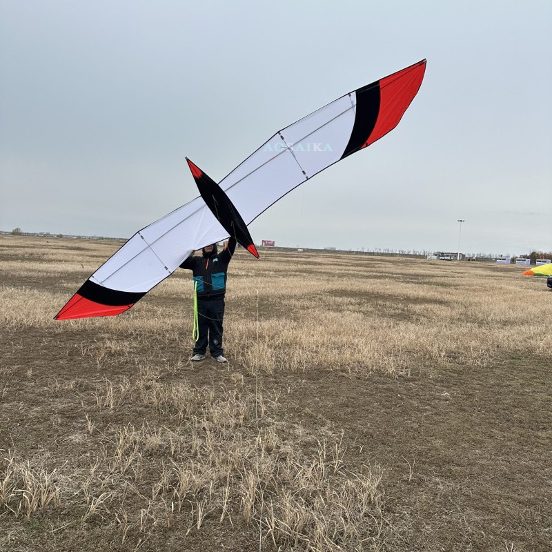 6M Knife Bird Kite PC31 Nylon For Adults High Quality Colorful Show Kites 