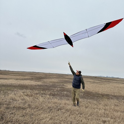 6M Knife Bird Kite PC31 Nylon For Adults High Quality Colorful Show Kites