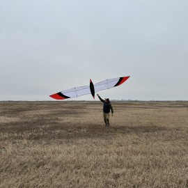 6M Knife Bird Kite PC31 Nylon For Adults High Quality Colorful Show Kites 