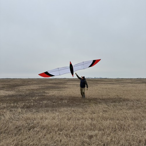 6M Knife Bird Kite PC31 Nylon For Adults High Quality Colorful Show Kites