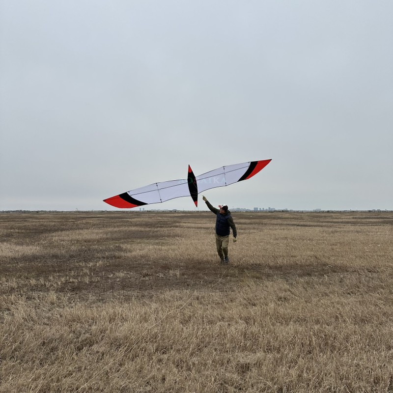 6M Knife Bird Kite PC31 Nylon For Adults High Quality Colorful Show Kites 