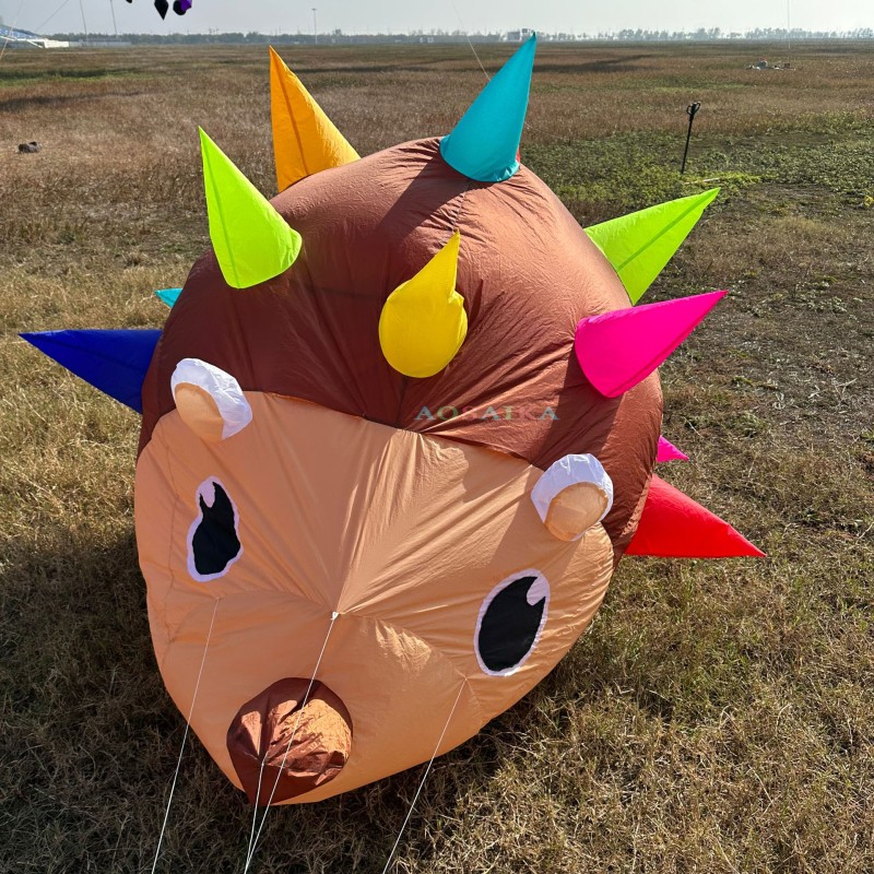 2M Hedgehog Kite Pendant 40d Ripstop Nylon For Adults High Quality Show Kites 