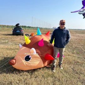 2M Hedgehog Kite Pendant 40d Ripstop Nylon For Adults High Quality Show Kites 