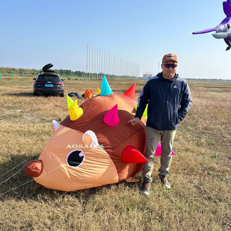 2M Hedgehog Kite Pendant 40d Ripstop Nylon For Adults High Quality Show Kites 