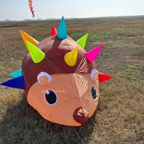 2M Hedgehog Kite Pendant 40d Ripstop Nylon For Adults High Quality Show Kites