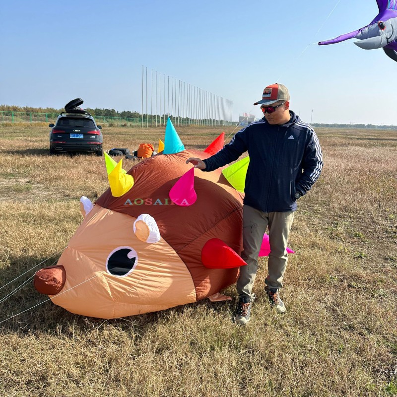 2M Hedgehog Kite Pendant 40d Ripstop Nylon For Adults High Quality Show Kites 