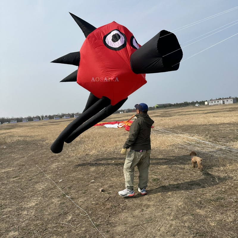 4m Sprickly Bird Kite Pendant 40d Ripstop Nylon 