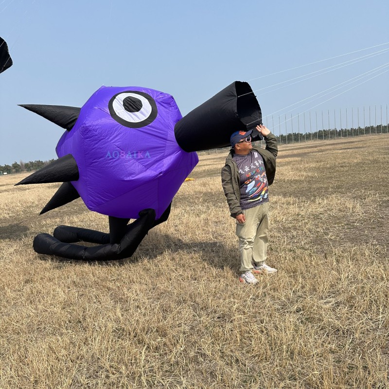 4m Sprickly Bird Kite Pendant 40d Ripstop Nylon 