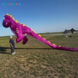 New Arrival Soft Inflatable 8M Dinosaur Kite Pendant 40d Nylon Ripstop Adults High Quality Colorful Animal Show Kites
