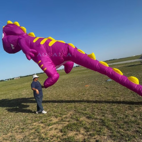 New Arrival Soft Inflatable 8M Dinosaur Kite Pendant 40d Nylon Ripstop Adults High Quality Colorful Animal Show Kites