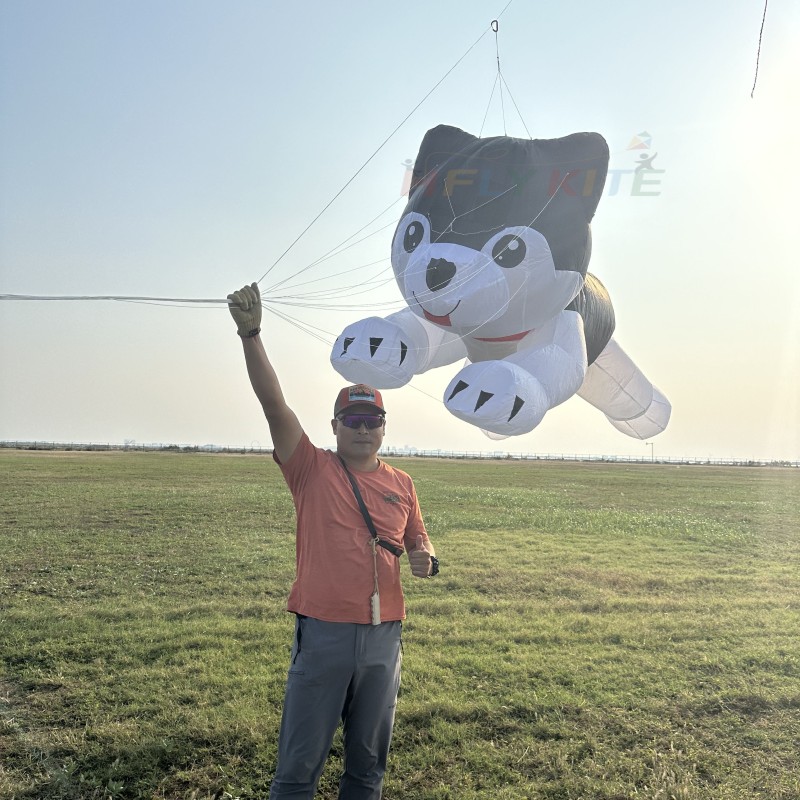 3.5M husky kite rendant 40d ripstop nylon 
