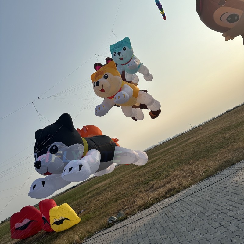 3.5M husky kite rendant 40d ripstop nylon 