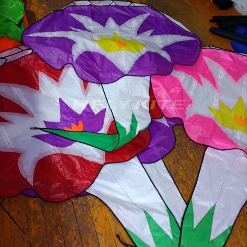 1.45*6m morning glory kite Polyester cloth Adults High Quality Colorful Show flower Kite