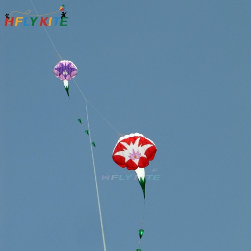 1.45*6m morning glory kite Polyester cloth Adults High Quality Colorful Show flower Kite