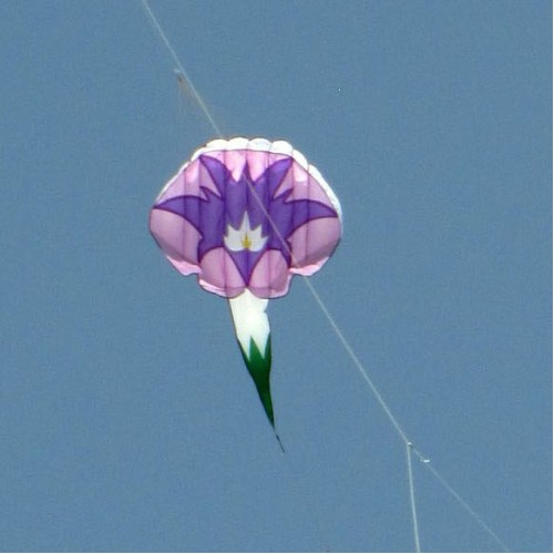 1.45*6m morning glory kite Polyester cloth Adults High Quality Colorful Show flower Kite