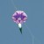 purple  