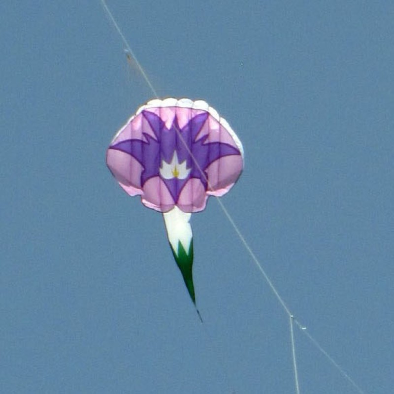 1.45*6m morning glory kite Polyester cloth Adults High Quality Colorful Show flower Kite 