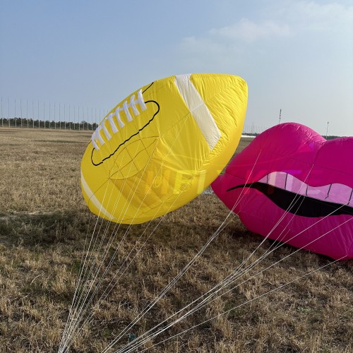 2.5m lip kite landscape