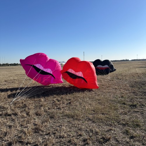 2.5m lip kite landscape