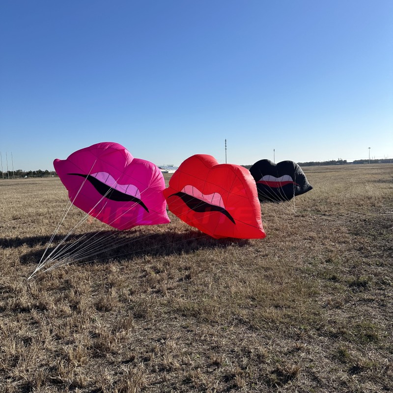 2.5m lip kite landscape 