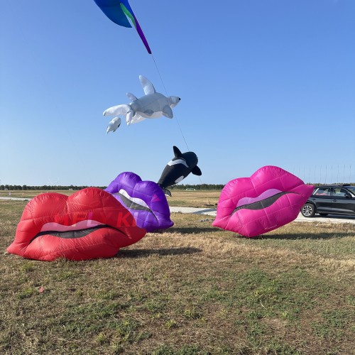 2.5m lip kite landscape