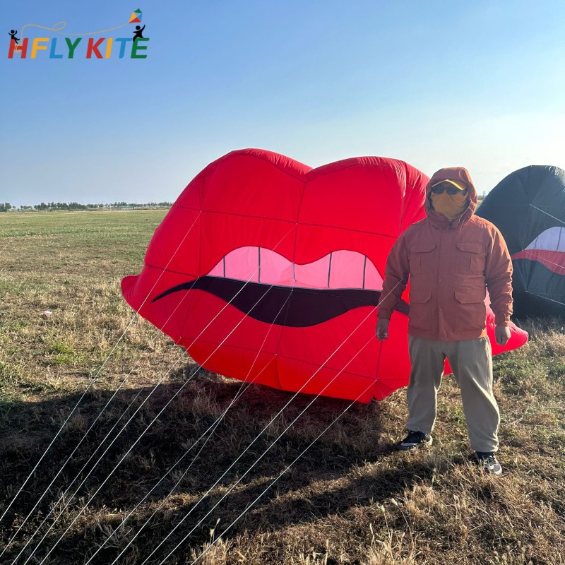 2.5m lip kite landscape