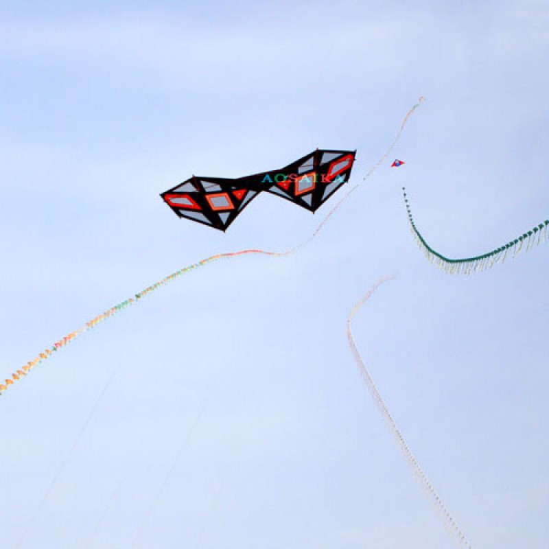 240*/80cm Strong wind Diamond Eye Four-Line Stunt Windrider Kite PC31 Nylon 