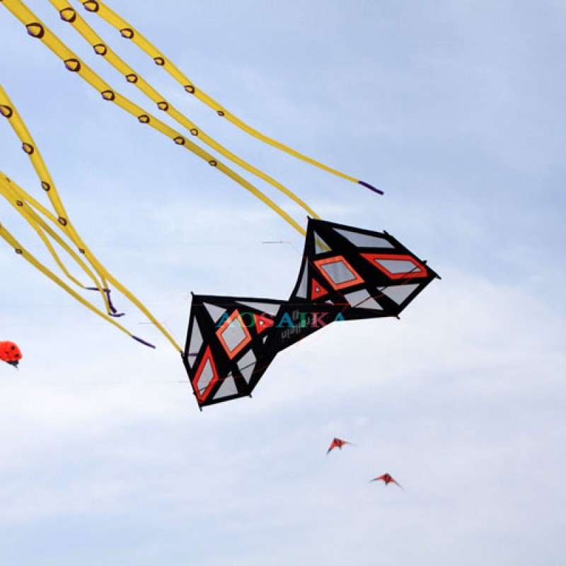 240*/80cm Strong wind Diamond Eye Four-Line Stunt Windrider Kite PC31 Nylon 